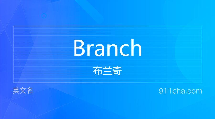 branch,branch什么意思