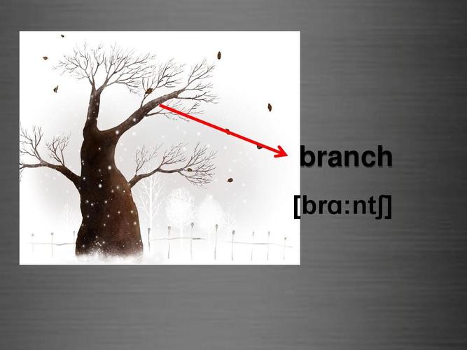 branch怎么读英语的相关图片