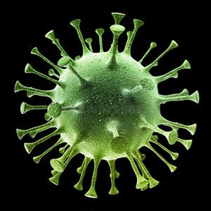 lw/细菌和病毒图片大全,细菌,病菌,病毒三者区别及照片