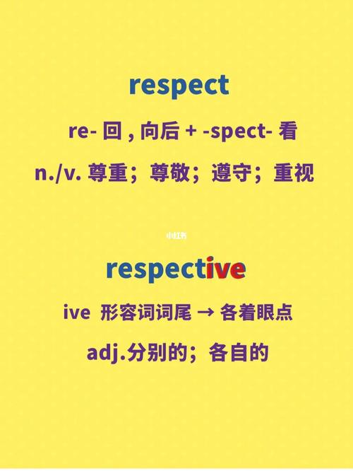 respect单词用法,急求!!!的相关图片