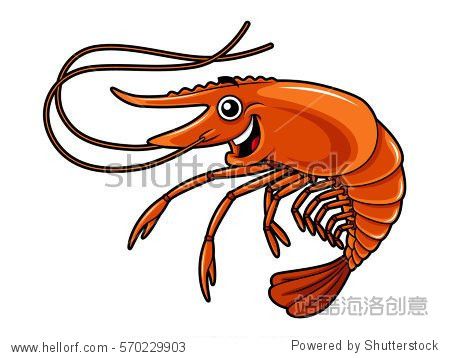 shrimp音标,用汉语怎样读出谐音的相关图片
