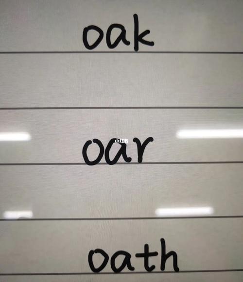 写出五个带oar的英文单词的相关图片