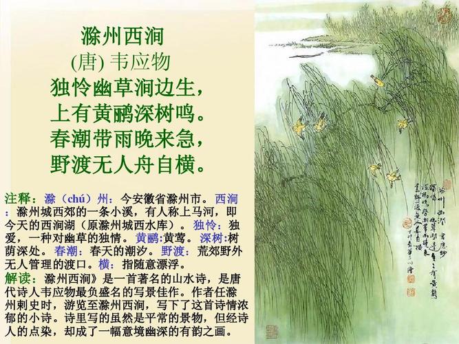 古诗滁州西涧的诗意的相关图片