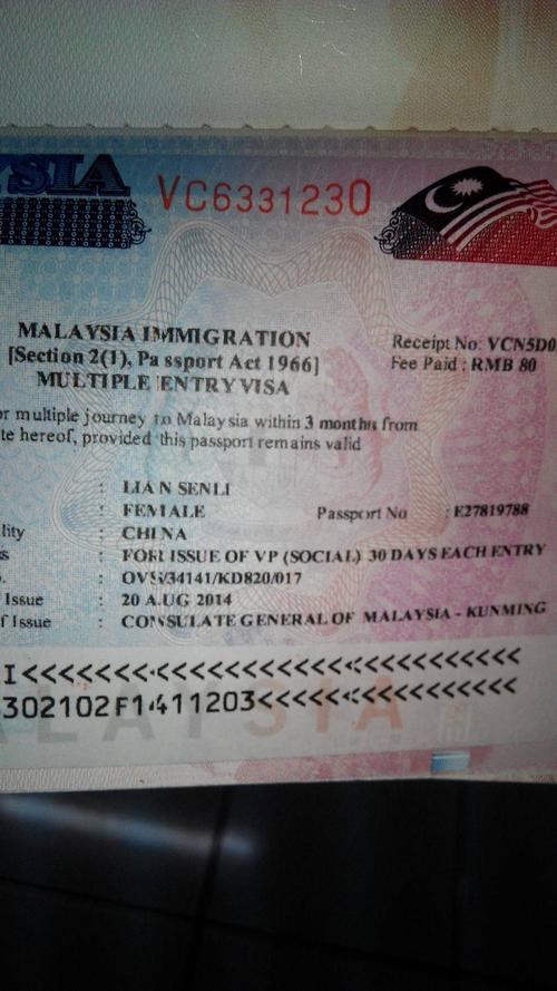 我持工作签证在马来西亚工作，而我的女儿如果想在马来西亚上幼儿园，小学这样可以吗？的相关图片