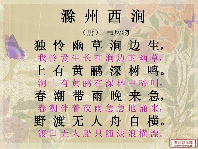 滁州西涧的这首古诗的诗意是,滁州西涧这首古诗的诗意是什么