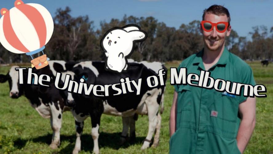 澳洲墨尔本大学兽医课程申请要求详解？的相关图片