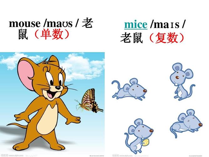 老鼠复数的英文单词怎么写,老鼠复数的英语单词怎么写