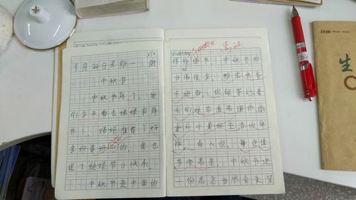 详略得当写中秋节一段话,用详略得当的方法介绍中秋节50字