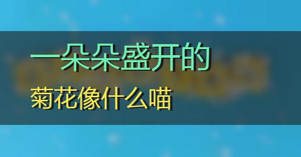 一朵朵盛开的菊花像什么的相关图片