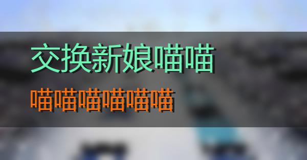 交换新娘的相关图片