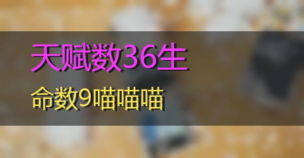 天赋数36生命数9的相关图片