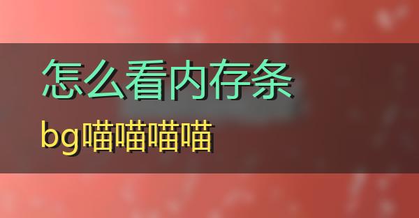 怎么看内存条bg的相关图片