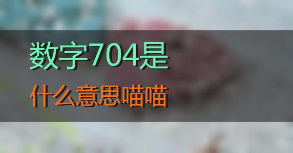 数字704是什么意思的相关图片