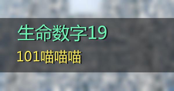 生命数字19101的相关图片