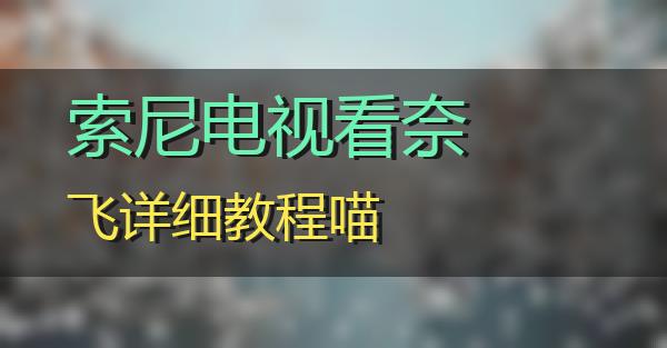 索尼电视看奈飞详细教程的相关图片
