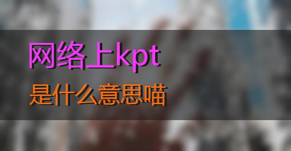 网络上kpt是什么意思的相关图片