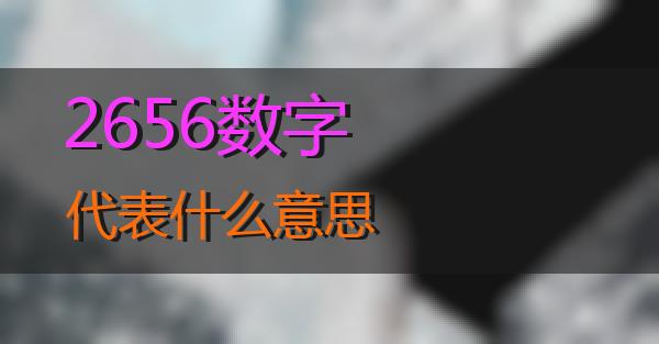 2656数字代表什么意思的相关图片