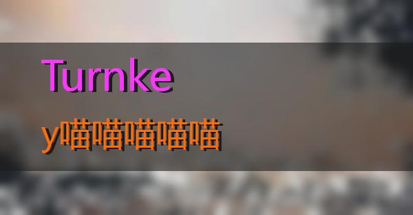 Turnkey的相关图片