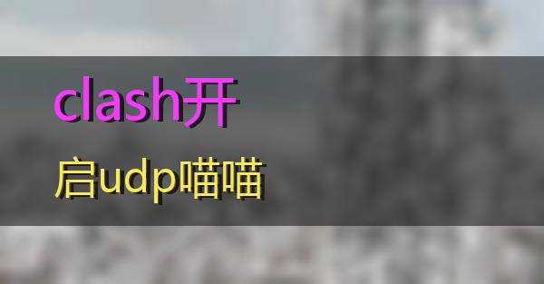 clash开启udp的相关图片