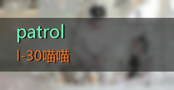 patroll-30的相关图片