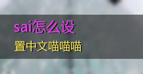 sai怎么设置中文的相关图片