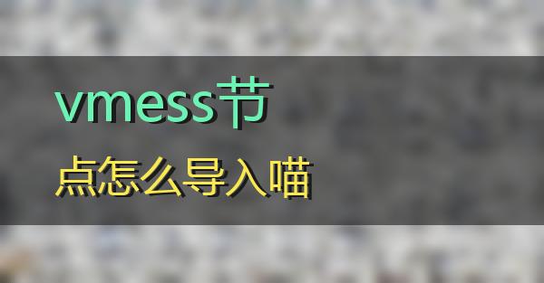 vmess节点怎么导入的相关图片